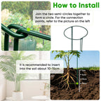 HiGift Peony Cages and Supports 24" H x 10" W, 8 Pack Tall Snake Plant Support Stake Half Round Metal Garden Stake for Indoor and Outdoor Plants, Flower Support Ring Border for Tomato,Hydrangea,Rose
