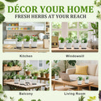 10-Set Indoor Herb Garden Starter Kit, 7 Seeds Growing into Basil, Parsley, Thyme, Mint, Cilantro, Dill, Oregano Including 10 White Pots, Markers, Nutritional Soil, Ideal Christmas Gifts for Women