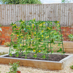 WLLEYAY Large U-Shape Cucumber Trellis for Raised Bed,49.2x49.2x23.6in