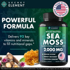 Secret Element Sea Moss Capsules with Burdock Root, Bladderwrack & Muira Puama – Plant-Based Sea Moss Supplement with Raw Powder – 120 Capsules