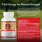 Kan Herbs - Dynamic Warrior 120 tabs [Health and Beauty]