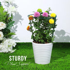 LEOBRO Plant Support, 8PCS Peony Cages and Supports, Plant Stakes for Indoor Plants, Outdoor Plants, Metal Garden Stakes, Plant Holders, Tomato Monstera Hydrangea Support Cage, 10" W x 15.8" H