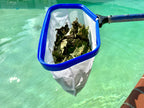 Pool Zing Professional 19" Fine Mesh Pool Skimmer Net - Triple Layer Net for Fine Debris Cleaning