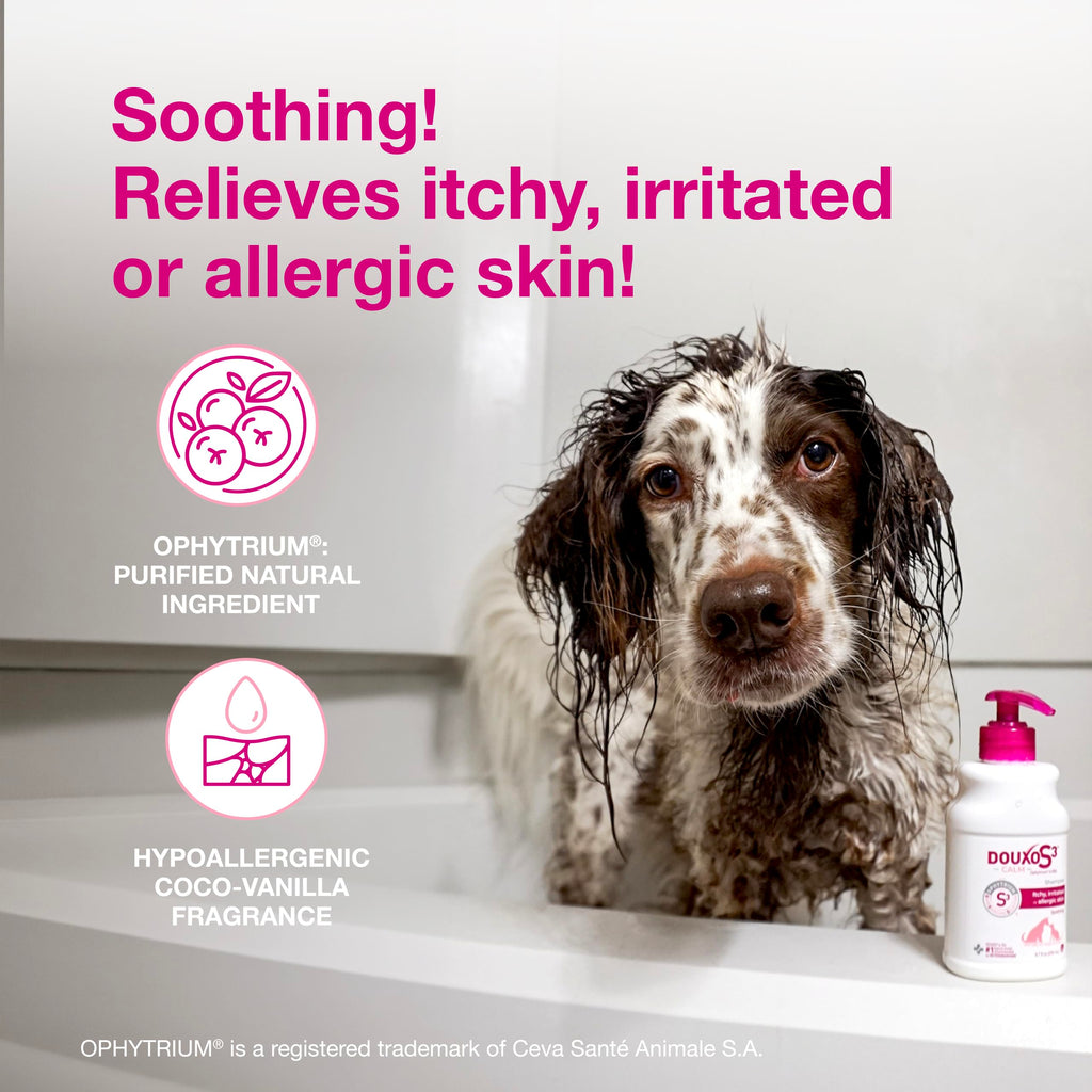 Douxo S3 Calm Dog Shampoo for Itchy Skin Relief, Dog Shampoo for Allergies and Itching, Soothes Itchy, Irritated or Allergic Skin For Dogs and Cats, 6.7 fl oz
