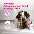 Douxo S3 Calm Dog Shampoo for Itchy Skin Relief, Dog Shampoo for Allergies and Itching, Soothes Itchy, Irritated or Allergic Skin For Dogs and Cats, 6.7 fl oz