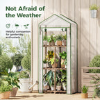 Bamworld Greenhouse for Outdoors Small Plant Green House 3-Tier Rack Stand Portable Greenhouses with Durable PE Cover for Seedling Ideal Gardening Gifts for Women Plants Lover