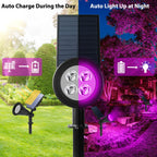 T-SUN Purple Solar Spot Lights Outdoor, Solar Black Lights Outdoor,2 Pack