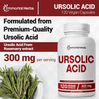 Immortal Herbs Pure Ursolic Acid Supplement 300mg, 120 Pills, Rosemary Leaf Extract Powder, Non-GMO and Gluten-Free Ursolic Acid Capsules for Women and Men