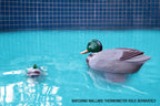 Poolmaster Adustable Chlorine Dispenser for Swimming Pools and Spas, Mallard