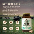 Heart & Soil – 100% Grass Fed & Finished Hair Skin and Nails Supplement from Regenerative Cattle with Cartilage, Liver, & Bone Marrow – 3000mg Beef Organs for Women & Men – Glass Bottle – 180 Capsules
