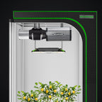 MELONFARM 6" Air Carbon Filter Smelliness Control with Australia Virgin Charcoal, Odor Removal Carbon Filter for Grow Tent, Inline Fan, Hydroponics, Pre-Filter Included, Insulated Flange 6" x 12"