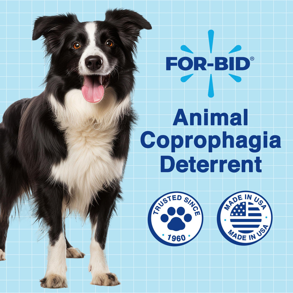 For-Bid 2 Pack Dog Cat Pet Prevention Stool
