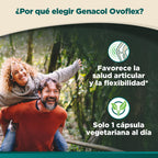 Genacol Ovoflex – Natural Eggshell Membrane Joint Supplement, 30-Day Supply