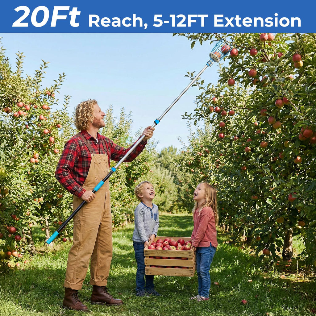 MAVRIZ 5-12ft Fruit Picker Pole with Basket, 20FT Reach Telescoping Apple Picker Extension Pole, Fruit Grabber for Harvesting Mango, Orange, Lemon, Avocado, Pear - Sturdy Aluminum Fruit Tree Picker