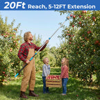 MAVRIZ 5-12ft Fruit Picker Pole with Basket, 20FT Reach Telescoping Apple Picker Extension Pole, Fruit Grabber for Harvesting Mango, Orange, Lemon, Avocado, Pear - Sturdy Aluminum Fruit Tree Picker