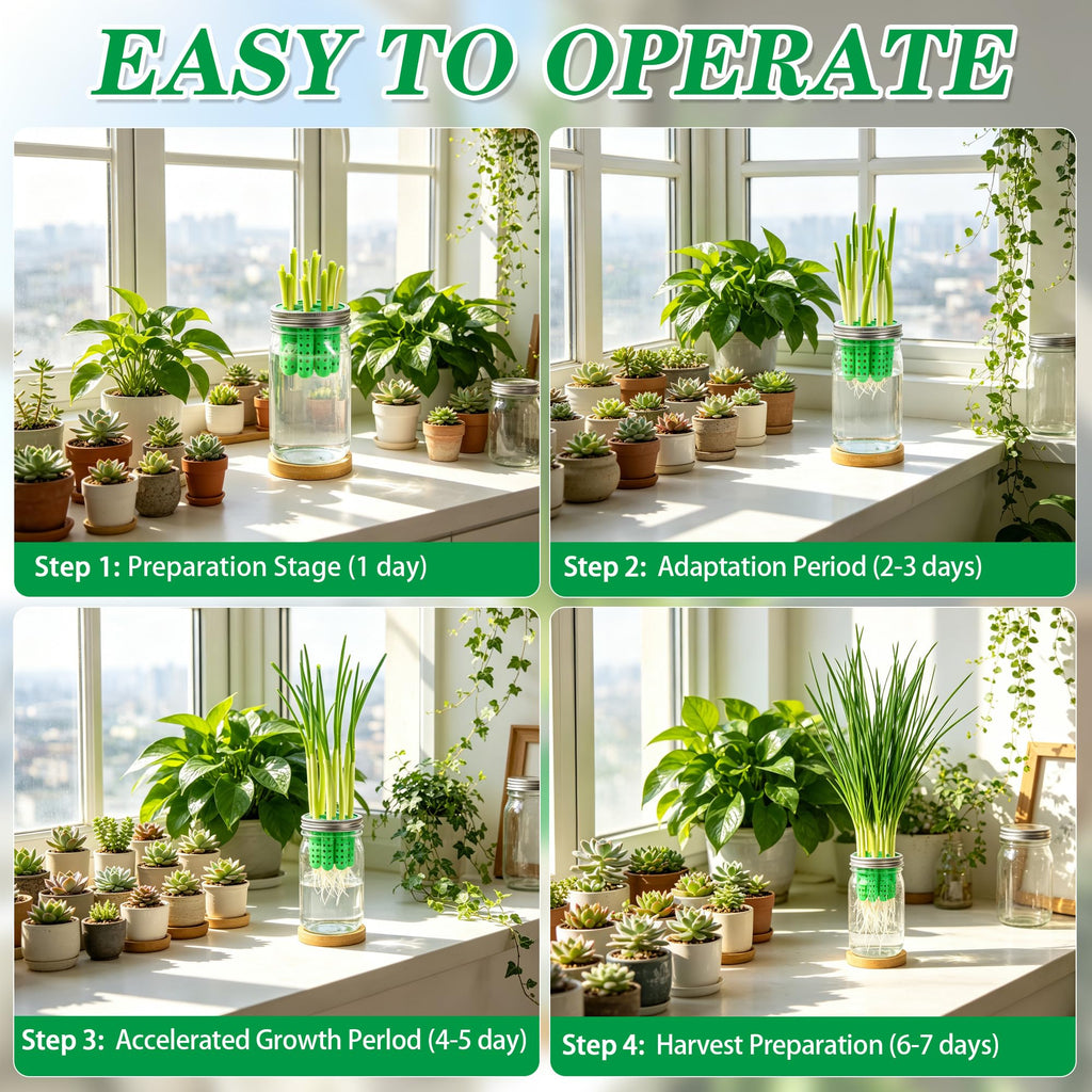 2-in-1 Seed Sprouting Set, Green Onion Regrower Kits Onion Planter Scallion