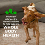 Greenies Large Natural Dental Dog Treats, Original Flavor, 24 Count