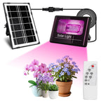 Loscarol Solar Grow Light, Full Spectrum Plant Light with Timer & Remote