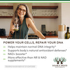 NMNH (NMN Supplement Alternative) Only Clinically Studied Ingredient - Boosts NAD+ Levels for Anti Aging and Cell Regeneration by Double Wood (Pack of 2)
