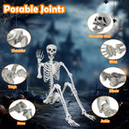 LaLamona 5.9ft/180cm Posable Halloween Skeleton, Life Size Skeleton Bones with Movable Joints for Halloween Graveyard Haunted House Spooky Scene Decor, 1pc