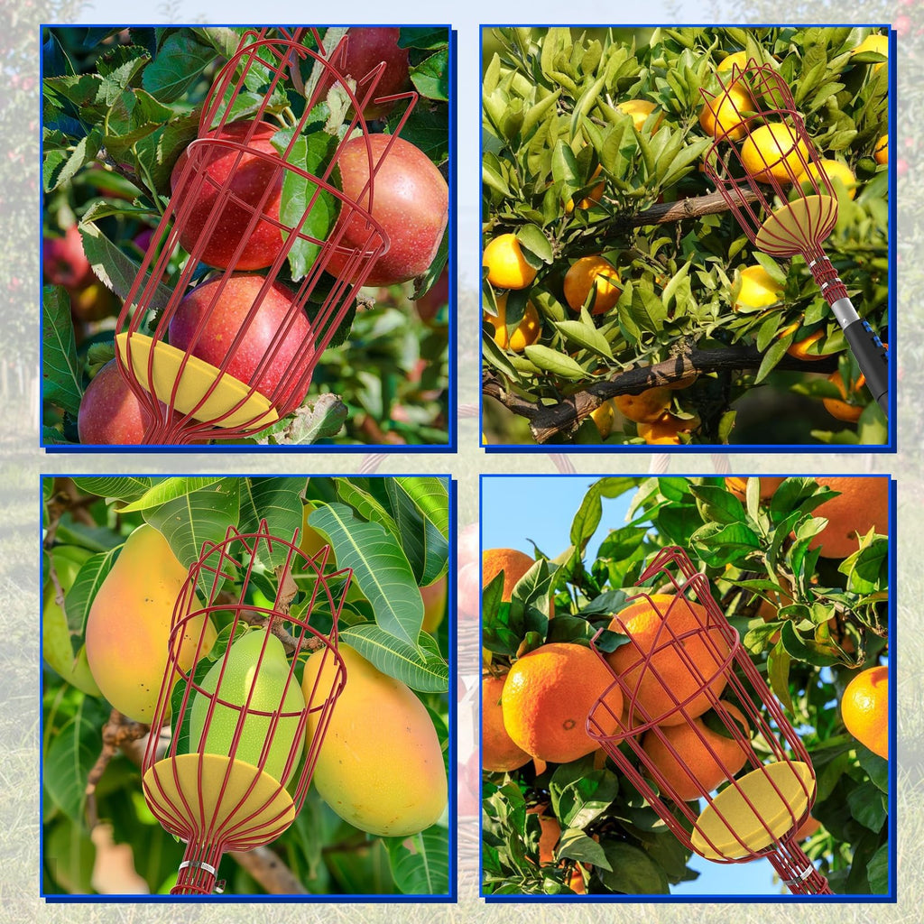 Karveden 18FT Reach Fruit Picker Pole with Basket Telescoping, 3-12FT Extendable Aluminum Apple Picker for Picking Avocados, Figs, Mangoes, Citrus Fruits - Durable Harvesting Fruit Catcher for Trees