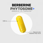 Codeage Berberine Phytosome Supplement - Berberine HCL, Alpha Lipoic Acid, Phospholipid Complex - 2-Month Supply - Berberine HCL - Berberine Hydrochloride - Gluten-Free, Non-GMO - 60 Capsules