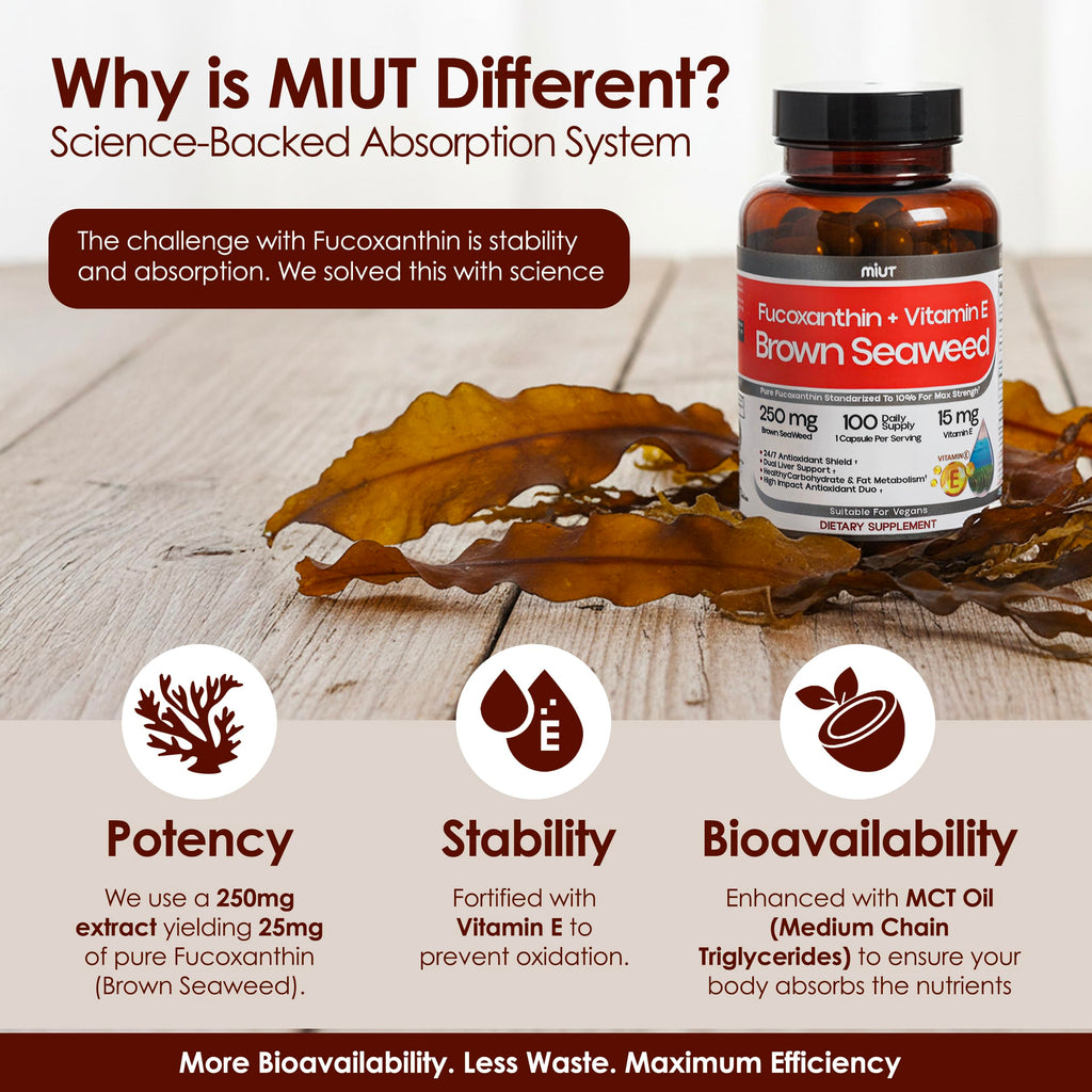 MIUT Fucoxanthin Brown Seaweed Extract Supplement 250mg - 10% Standardized Fucoxanthin w/Vitamin E & MCT Oil, Antioxidant & Metabolic Support - Vegan Marine Carotenoid Formula, Non-GMO - 100 Capsules