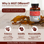 MIUT Fucoxanthin Brown Seaweed Extract Supplement 250mg - 10% Standardized Fucoxanthin w/Vitamin E & MCT Oil, Antioxidant & Metabolic Support - Vegan Marine Carotenoid Formula, Non-GMO - 100 Capsules