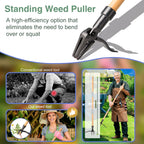 CRAFTZONE Weed Puller Stand Up Weed Puller Tool with Wooden Long Handle Foot Platform Design 4-Claw Steel Head & Removable 3-Section Pole Garden Tools-Easily Remove Weeds Without Bending or Kneeling