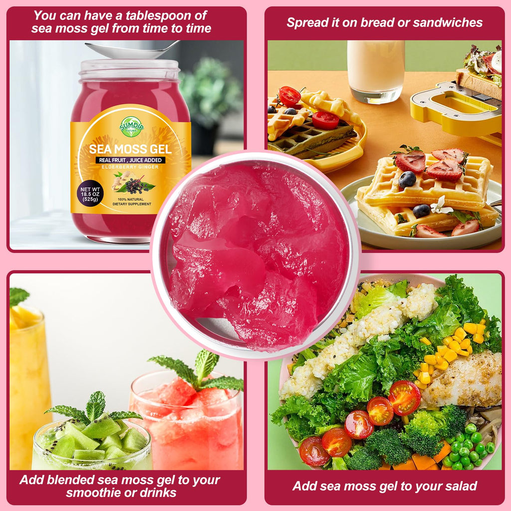 SumDIP 18.5OZ Seamoss Gel, Raw Wildcrafted Irish Seamoss Gel Immune and Digestive Support Vitamin Mineral Supplements, Elderberry Ginger