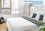 PlushDeluxe Bamboo Waterproof Mattress Protector, Queen Size, Ultra Soft