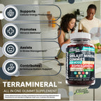 Terramineral Shilajit Gummies with Irish Sea Moss Tongkat Ali Ashwagandha Lion's Mane MACA Panax Ginseng Rhodiola & Cordyceps by Clean Nutra (1)