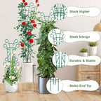 10 Pack Indoor Plant Trellis for Potted Plants, Stackable Garden Trellis for Climbing Plants Outdoor, Small Trellis for Houseplants Rose Hoya Pothos Plant Climber Support