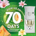 Air Wick Plug in Scented Oil Refill, 2 ct, Summer Delights, Air Freshener, Essential Oils