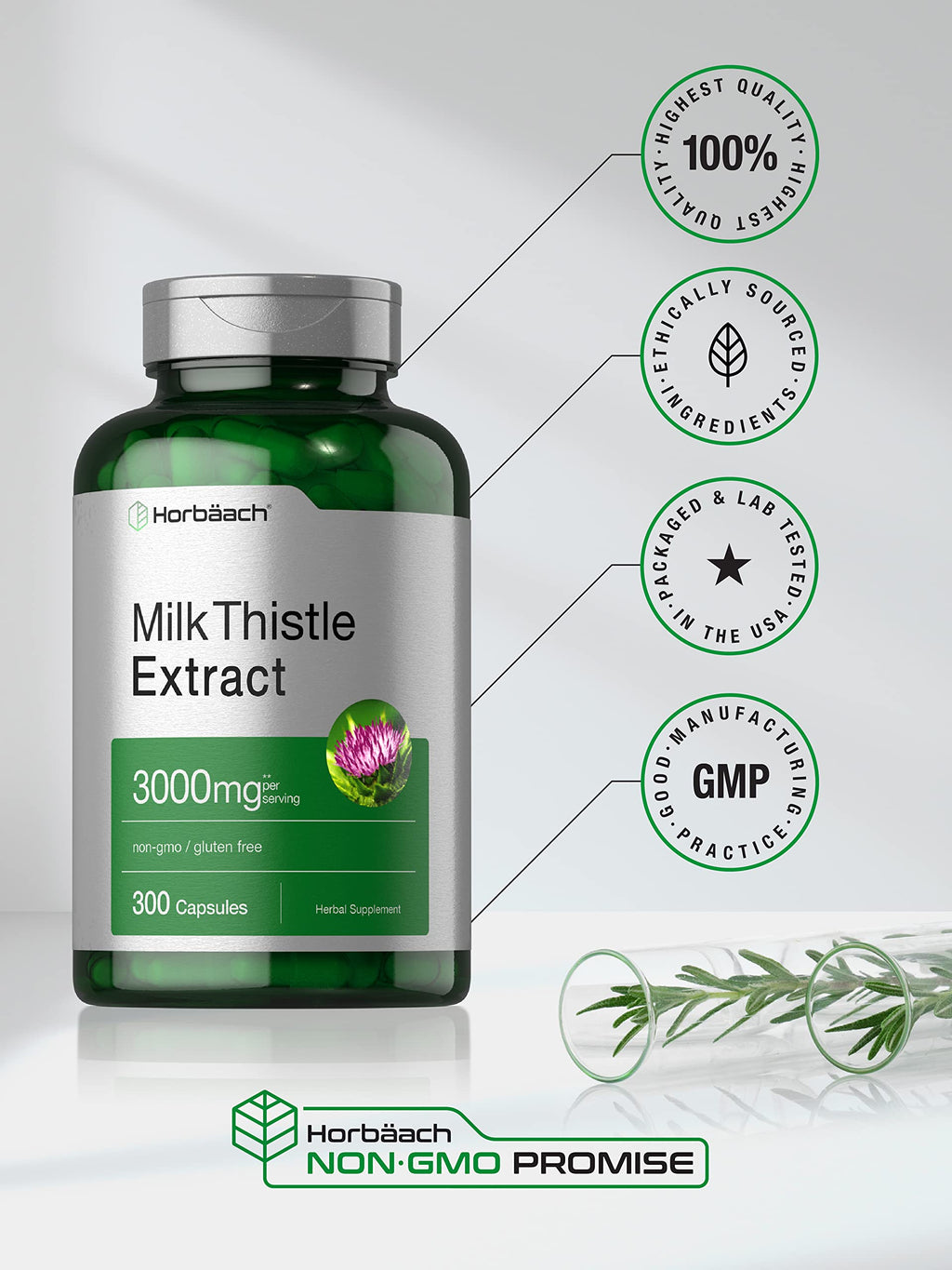 Horbäach Milk Thistle Supplement | 300 Capsules | Herbal Extract | Non-GMO, Gluten Free