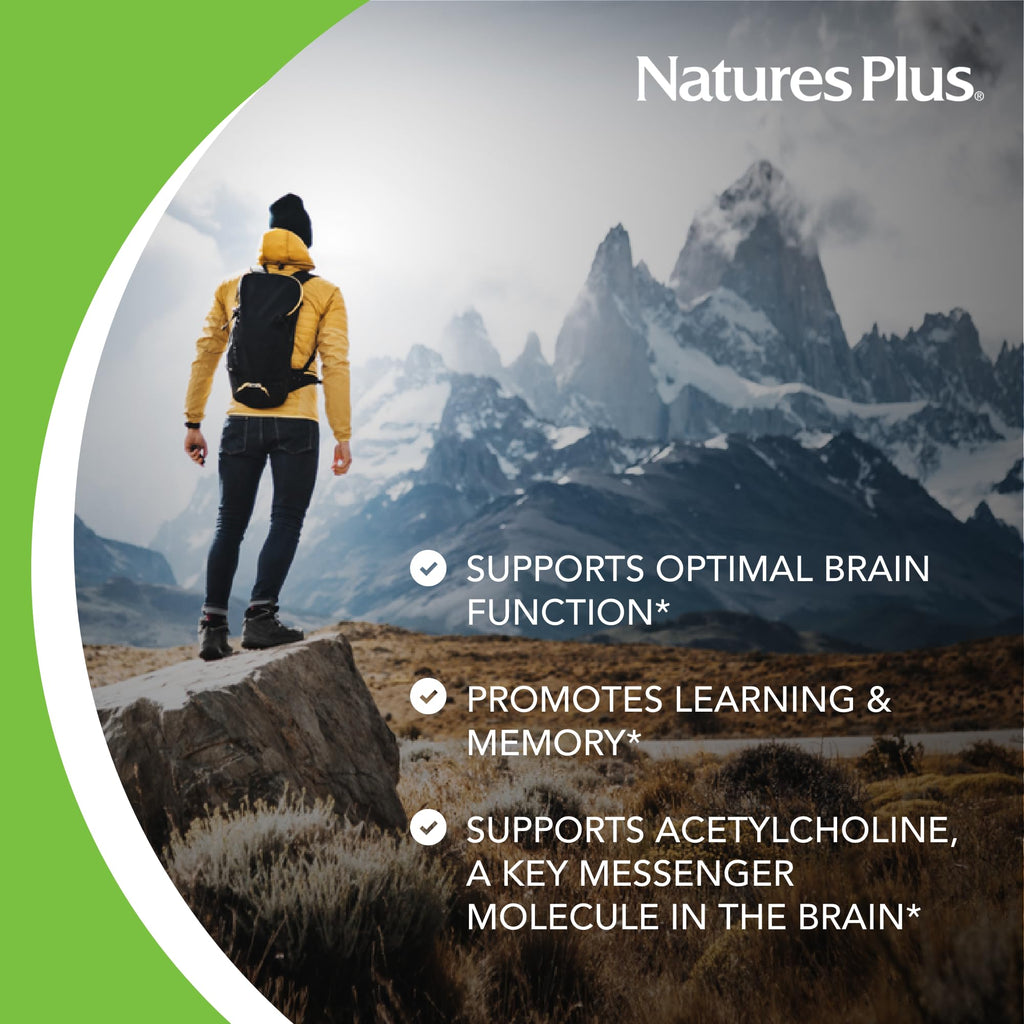 NaturesPlus Huperzine Rx-Brain - 30 Tablets - Brain Support Supplement - Promotes Memory, Learning & Optimal Cognitive Function - Gluten Free - 30 Servings