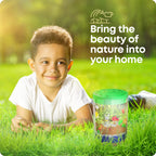 Dan&Darci Light-Up Terrarium Kit for Kids - STEM Science Kit - Educational DIY Toy for Boys & Girls - Birthday Gift - Craft Project Idea for Ages 6 7 8 9 10 11 12 Year Old