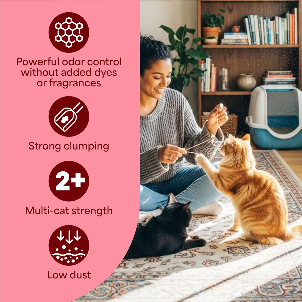 Fresh Step Advanced Simply Unscented Multi Cat Clumping Litter, 18.5lb, 2Pk