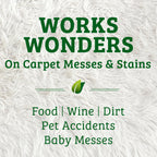 Biokleen Bac-Out Enzymatic Stain & Odor Remover for Carpet - Removes Stains and odors caused by dirt, pet accidents, wine, food, smoke - 2 Pack 32 oz w/Micro Cleaning Towel