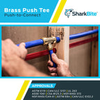 SharkBite 1/4 Inch (3/8 Inch OD) Tee, Pack of 6, Push to Connect Brass Plumbing Fitting, PEX Pipe, Copper, CPVC, PE-RT, HDPE, U358LF