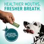 OraVet Dental Hygiene Chews for Dogs