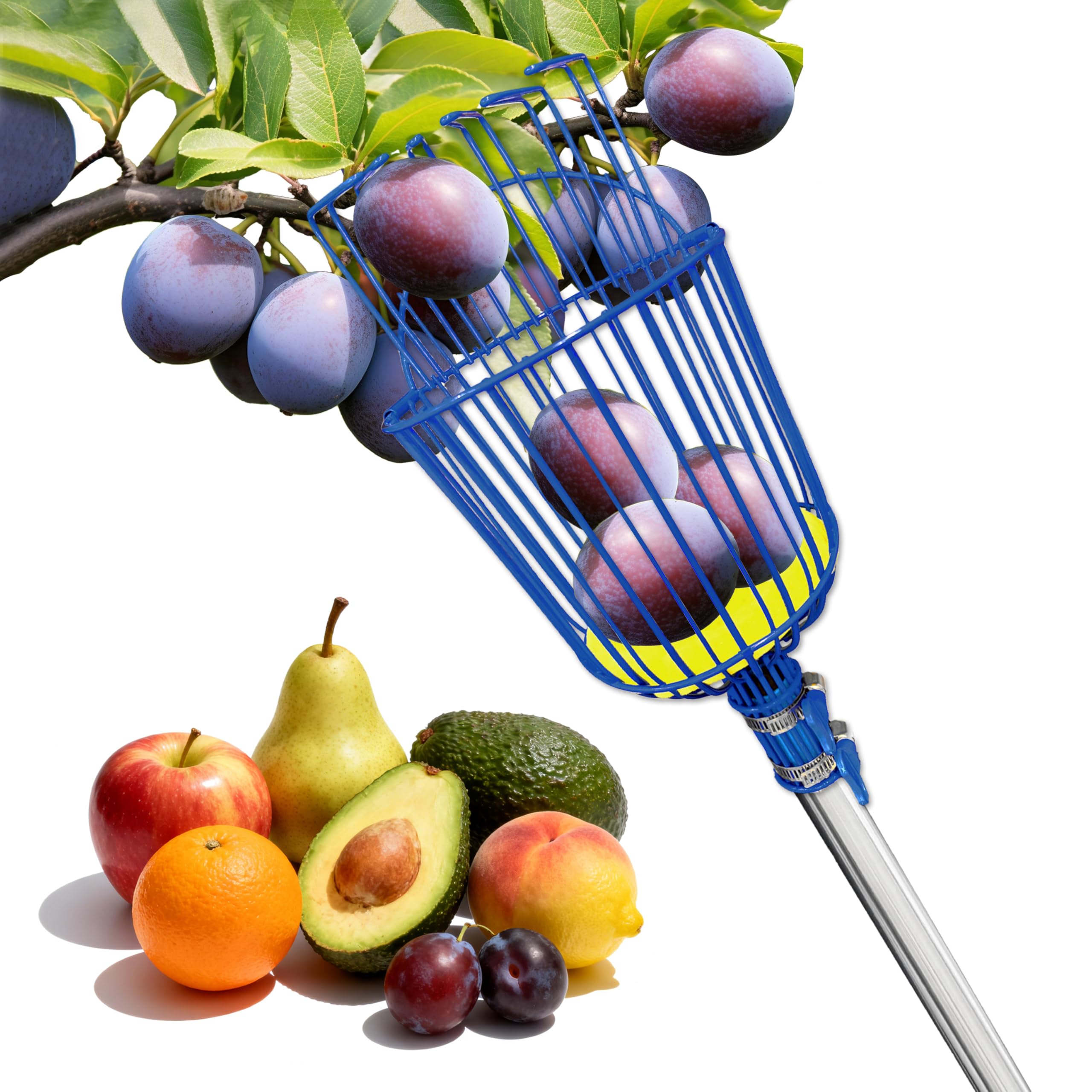 ELNDUXG Fruit Picker Upgraded Round Claws Reduce Fruit Damage (65inch)