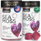 Multimineral Sea Moss Gummies 3000 Mg with Probiotic, Bladderwrack, Black Seed Oil, Ashwagandha, Burdock Root (2 Pack) - Irish Seamoss for Immunity, Thyroid and Gut Health - Vegan, Sugar Free