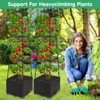 2 Packs Tomato Planter Pot with Raised Bed Trellis, 45" Tomato Cages for Climbing Vegetables, Self Watering Tomato Growing Container Planters Box for Indoor Outdoor Garden Bed Greenhouse