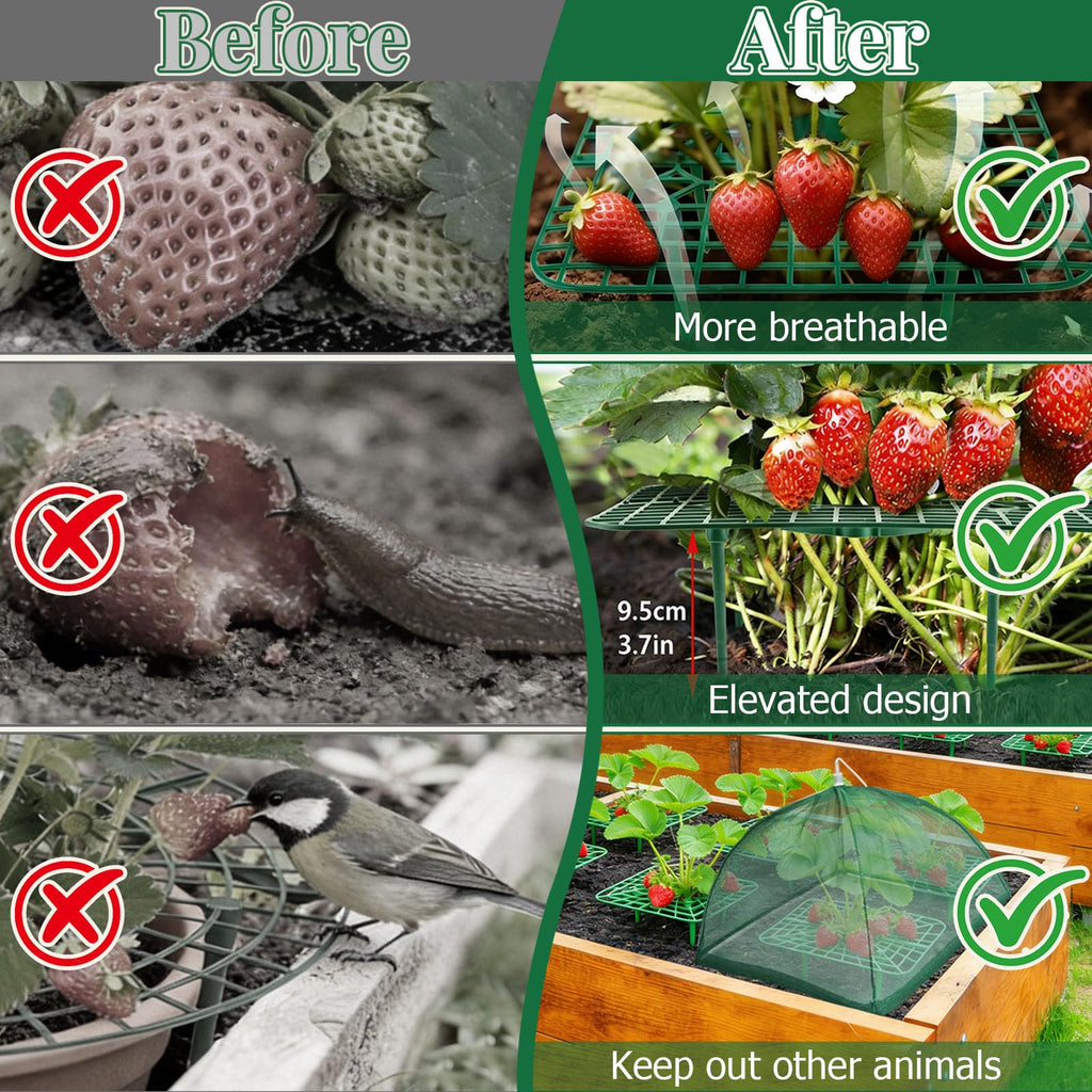 6 Sets Strawberry Plant Support with Mesh Plant Cover, Strawberry Growing Rack Kit with 24 Iron Plant Nails for Garden, Strawberry Growing Frame with Protective Net for Strawberries Tomatoes Veggies