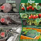 6 Sets Strawberry Plant Support with Mesh Plant Cover, Strawberry Growing Rack Kit with 24 Iron Plant Nails for Garden, Strawberry Growing Frame with Protective Net for Strawberries Tomatoes Veggies