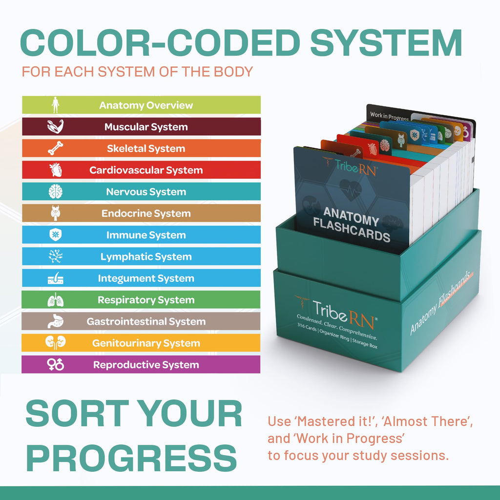 TribeRN Anatomy and Physiology Flash Cards – 320 Study Resources for Students – Human Anatomy & Physiology Study Tools – Medical, Nursing School Essentials – Durable & Easy to Use Flashcards