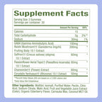 Plant People WonderSleep Mushroom Gummies Supplement for Sleep, No Melatonin with Reishi Super Mushrooms, Wild Elderberry Flavor, No Sugar (60 Count)