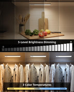 EZVALO 10inch Under Cabinet Lighting, 2500mAh Rechargeable Motion Sensor Lights Indoor with 3 Color Temps, 2 Pack Magnetic Closet Light, 80 LED Dimmable Under Counter Lights for Kitchen, Shelf, Stair