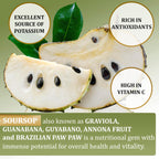 Soursop Leaves & Soursop Fruit Gummies - Sugar Free Soursop Graviola Gimmies - 3000mg Max Strenght Soursop Extract - Graviola Supplement - Soursop Fruit and Leaf - 60ct - Non-GMO – Vegan Friendly